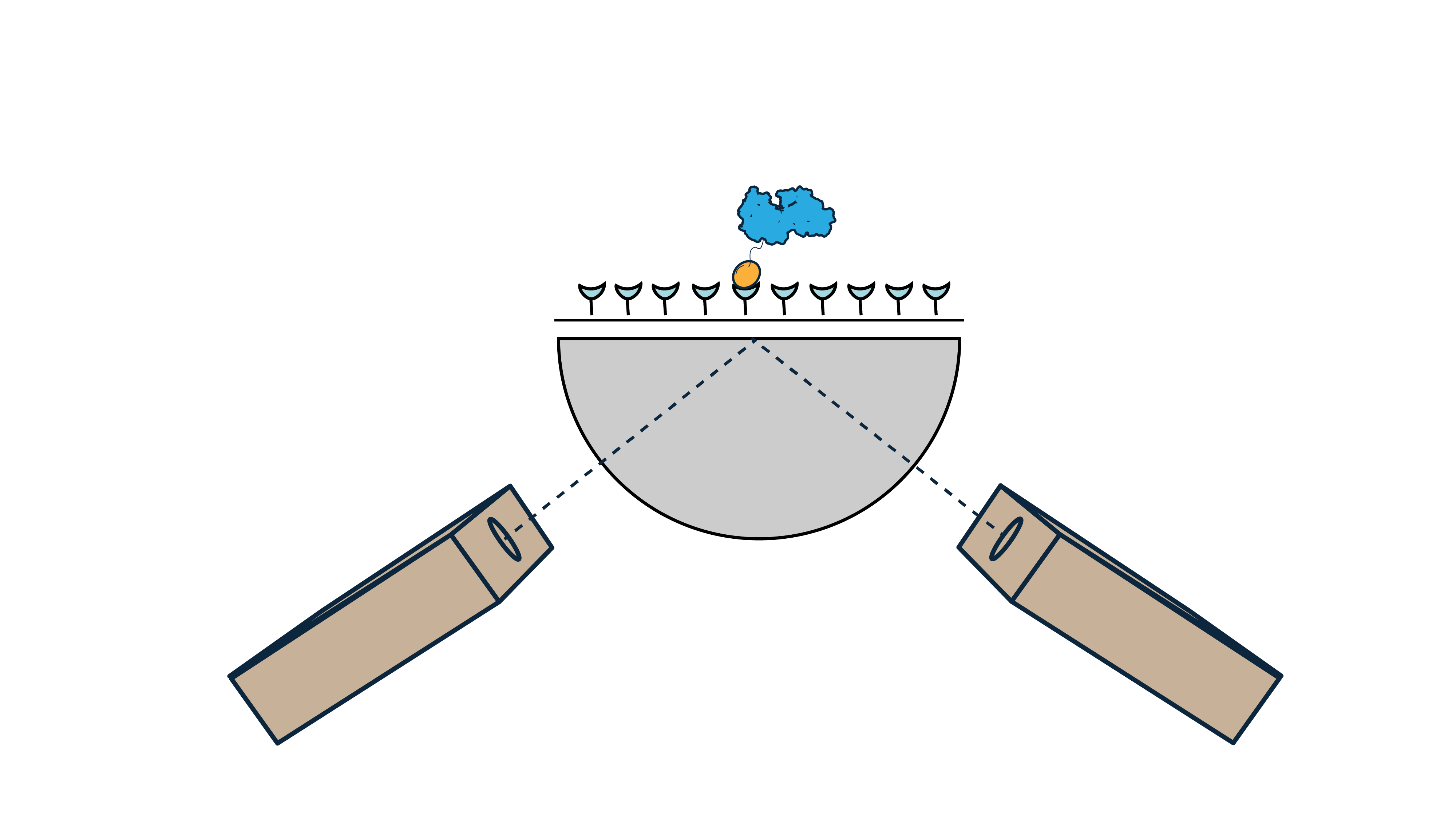 Schematic illustration of Surface Plasmon Resonance